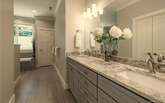 Master Bathroom Vanity